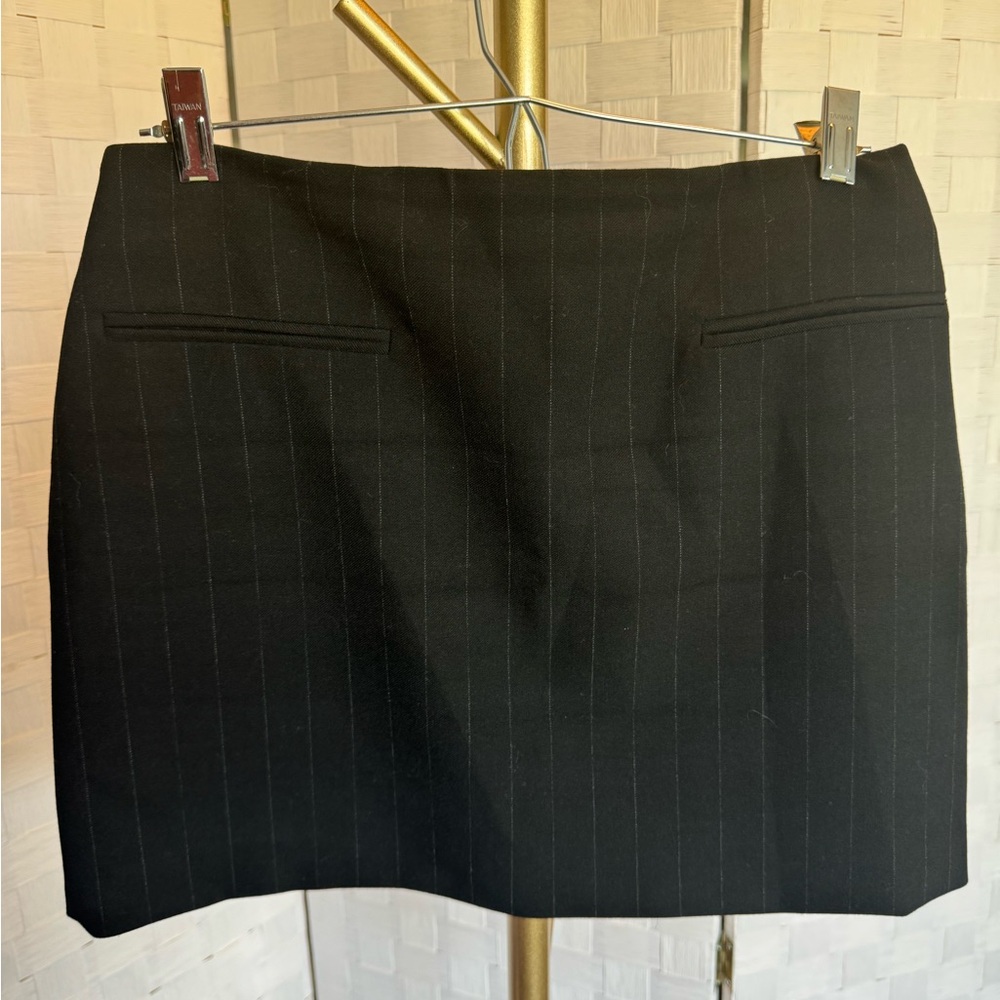 Zara Skirt